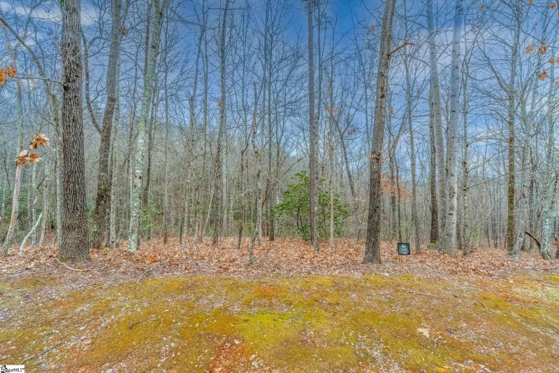 Property image 2 of 30 Lakes Edge Way in The Cliffs at Mountain Park, Marietta, SC 29661