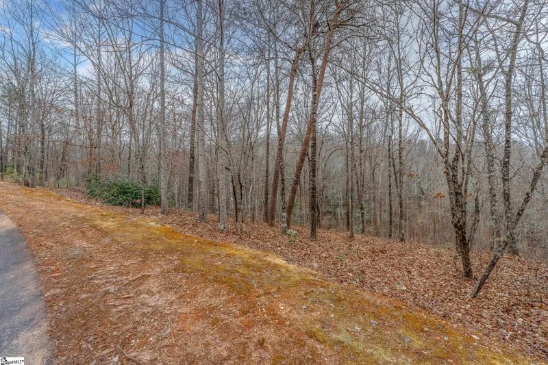 Property image 3 of 30 Lakes Edge Way in The Cliffs at Mountain Park, Marietta, SC 29661