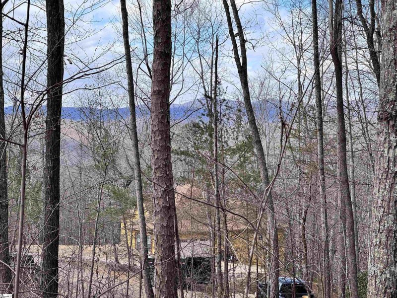 Property image 2 at 22 Alsace Way, Travelers Rest, SC 29690