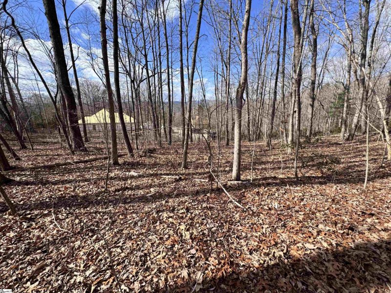 Property image 3 at 22 Alsace Way, Travelers Rest, SC 29690