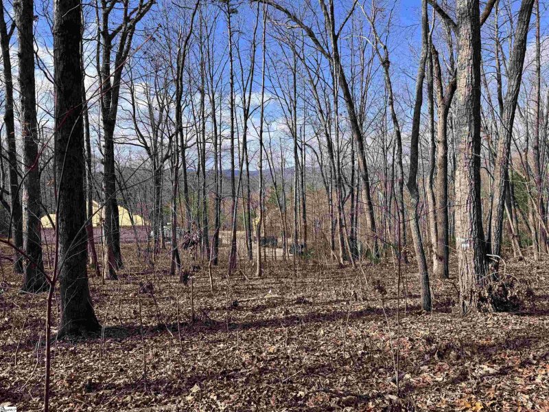 Property image 4 at 22 Alsace Way, Travelers Rest, SC 29690