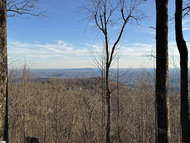 Property image 3 of 278 Bella Vista Court in Cliffs Valley, Zirconia, NC 28790