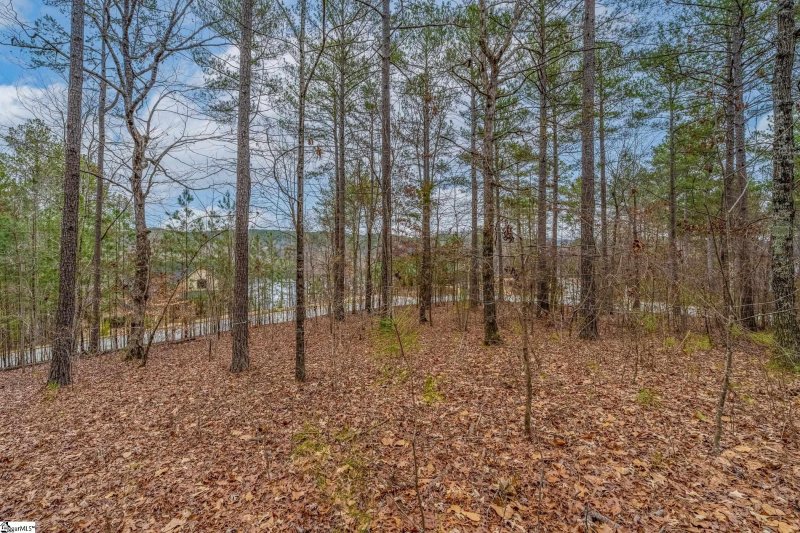 Property image 2 of 335 Long Cove Trail in The Cliffs at Keowee Falls South, Salem, SC 29676
