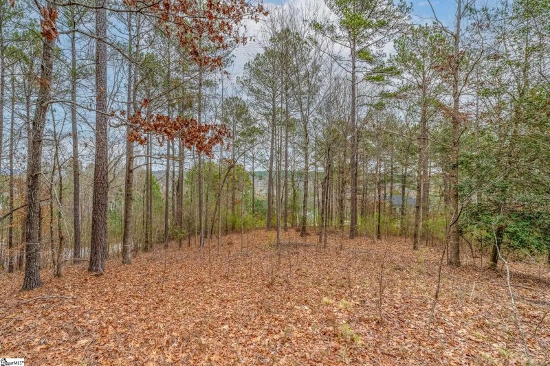 Property image 4 of 335 Long Cove Trail in The Cliffs at Keowee Falls South, Salem, SC 29676