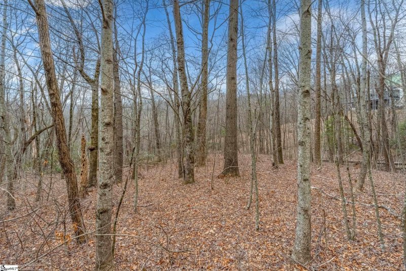 Property image 2 at 153 Catnip Trail, Landrum, SC 29356-3329