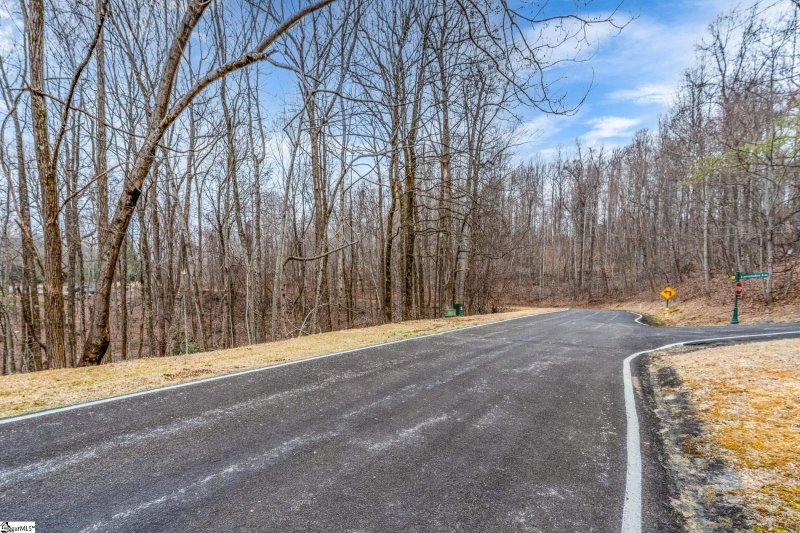 Property image 3 at 153 Catnip Trail, Landrum, SC 29356-3329