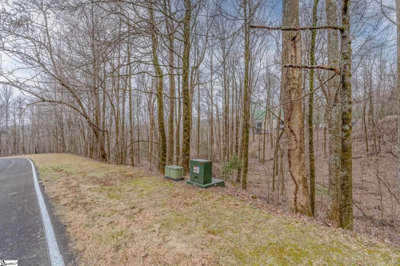 Property image 4 at 153 Catnip Trail, Landrum, SC 29356-3329