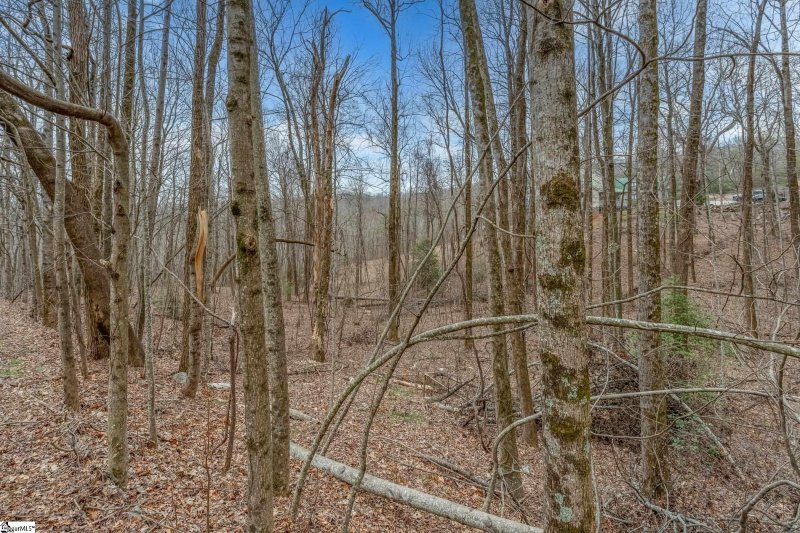 Property image 5 at 153 Catnip Trail, Landrum, SC 29356-3329
