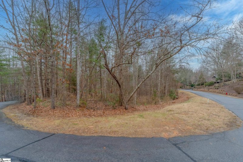 Property image 3 at 00 Black Eyed Susan Lane, Sunset, SC 29685