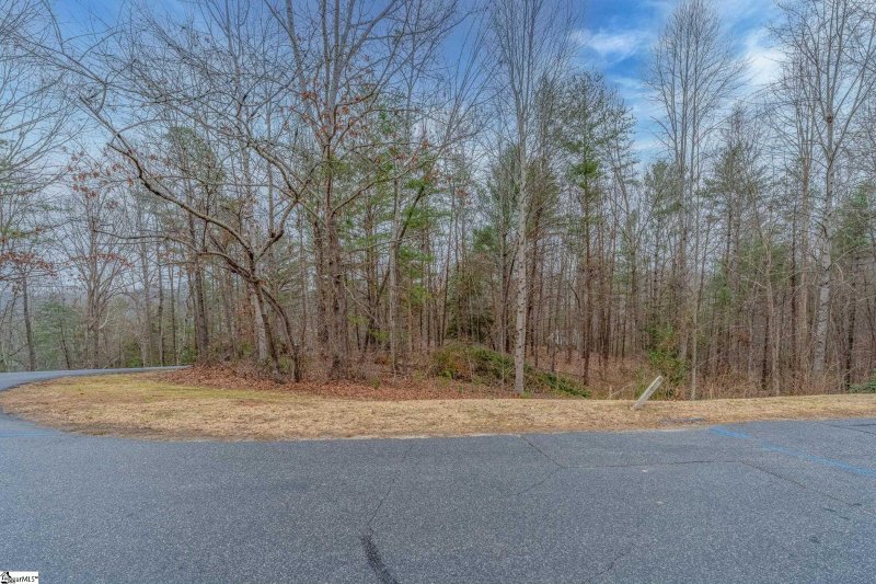 Property image 4 at 00 Black Eyed Susan Lane, Sunset, SC 29685