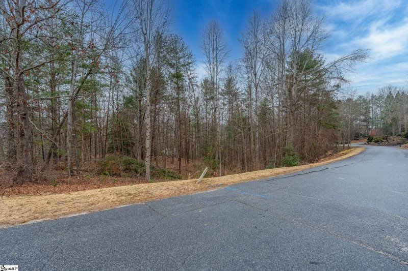 Property image 5 at 00 Black Eyed Susan Lane, Sunset, SC 29685