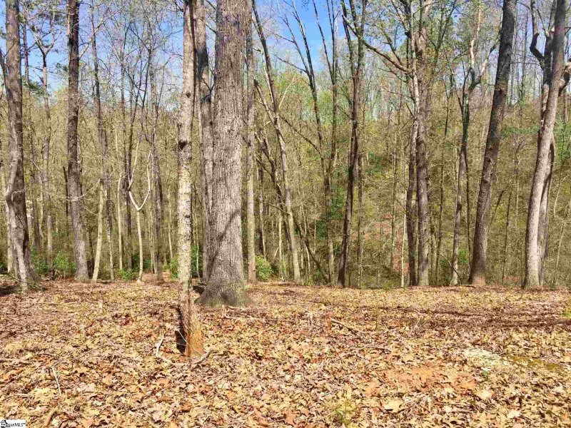 Property image 2 of 110 Black Knight Trail in The Cliffs at Mountain Park, Travelers Rest, SC 29690