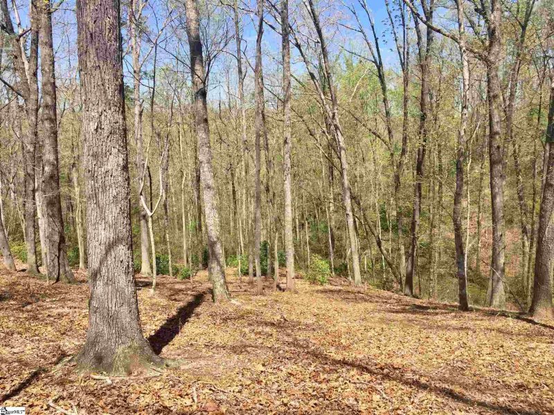 Property image 3 of 110 Black Knight Trail in The Cliffs at Mountain Park, Travelers Rest, SC 29690