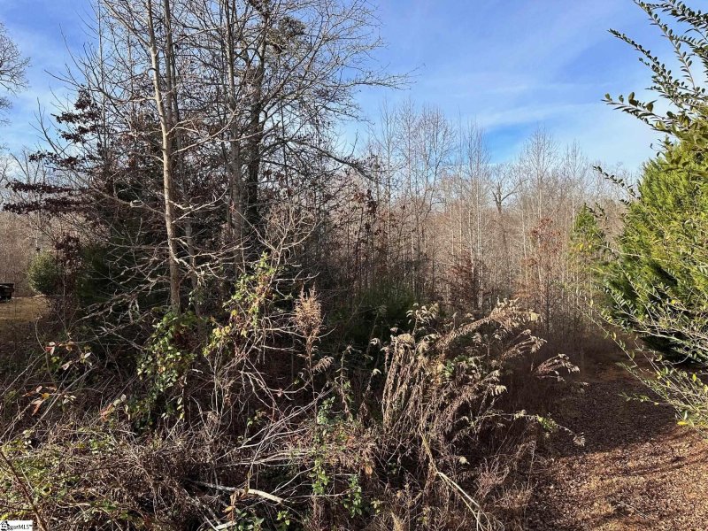 Property image 2 at 129 Karla Court, Fountain Inn, SC 29644