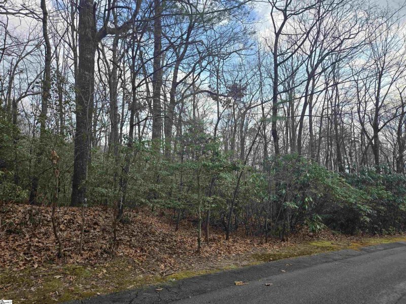 Property image 2 of 111 Columbine Way in Cliff Ridge at Caesars Head, Cleveland, SC 29635