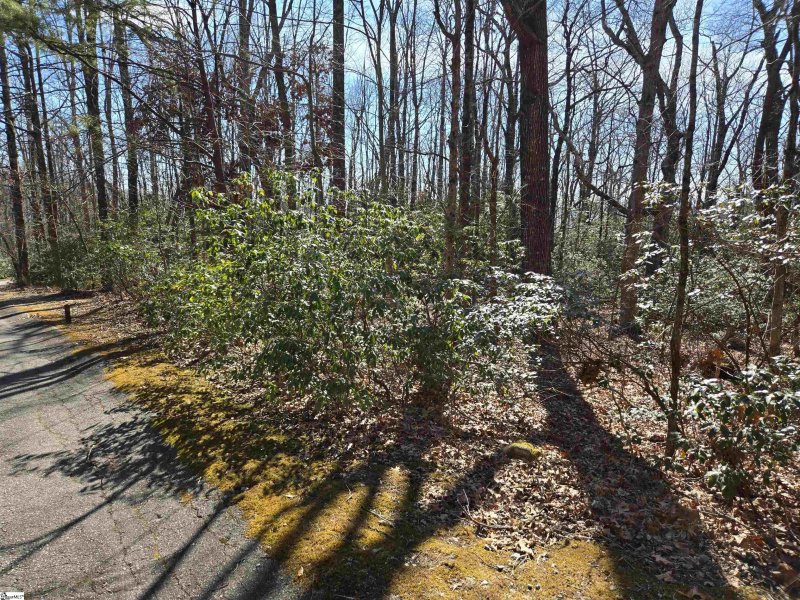 Property image 2 of 120 Birchbend in Cliff Ridge at Caesars Head, Cleveland, SC 29635