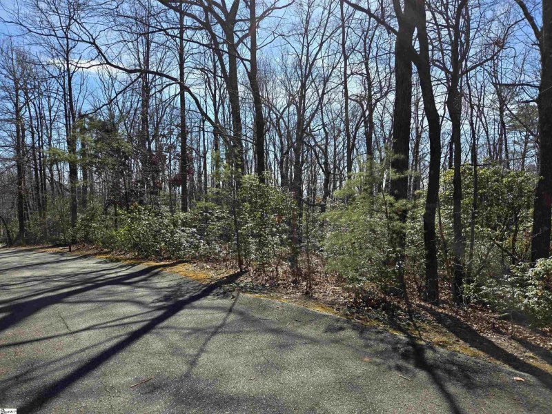 Property image 3 of 116 Birchbend in Cliff Ridge at Caesars Head, Cleveland, SC 29635