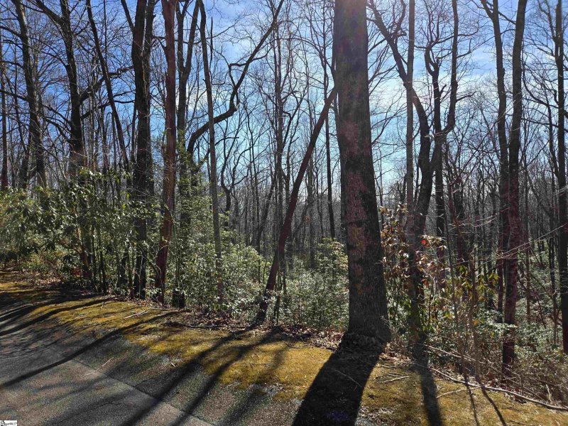 Property image 2 of 112 Birchbend in Cliff Ridge at Caesars Head, Cleveland, SC 29635