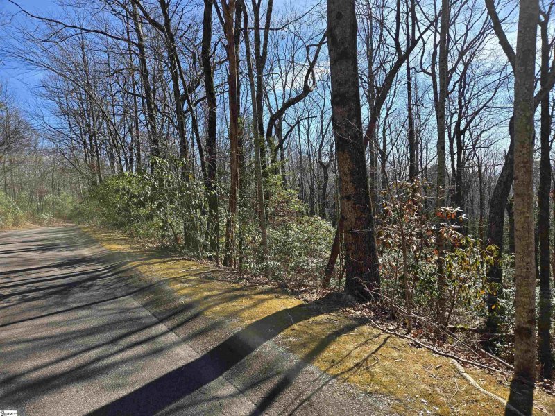 Property image 3 of 112 Birchbend in Cliff Ridge at Caesars Head, Cleveland, SC 29635