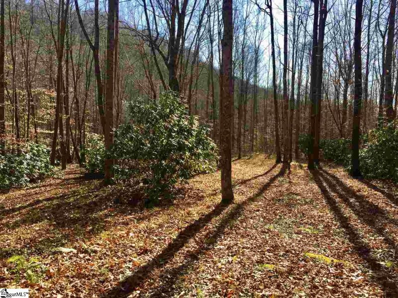 Property image 2 at 180 Painter Creek Road, Travelers Rest, SC 29690