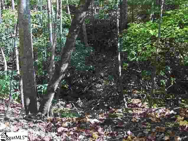 Property image 4 at 180 Painter Creek Road, Travelers Rest, SC 29690