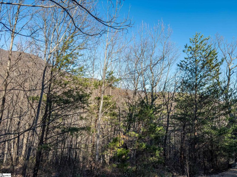 Property image 3 of 327 Foggy Cut Lane in The Cliffs at Glassy, Landrum, SC 29356