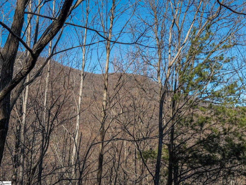 Property image 4 of 327 Foggy Cut Lane in The Cliffs at Glassy, Landrum, SC 29356