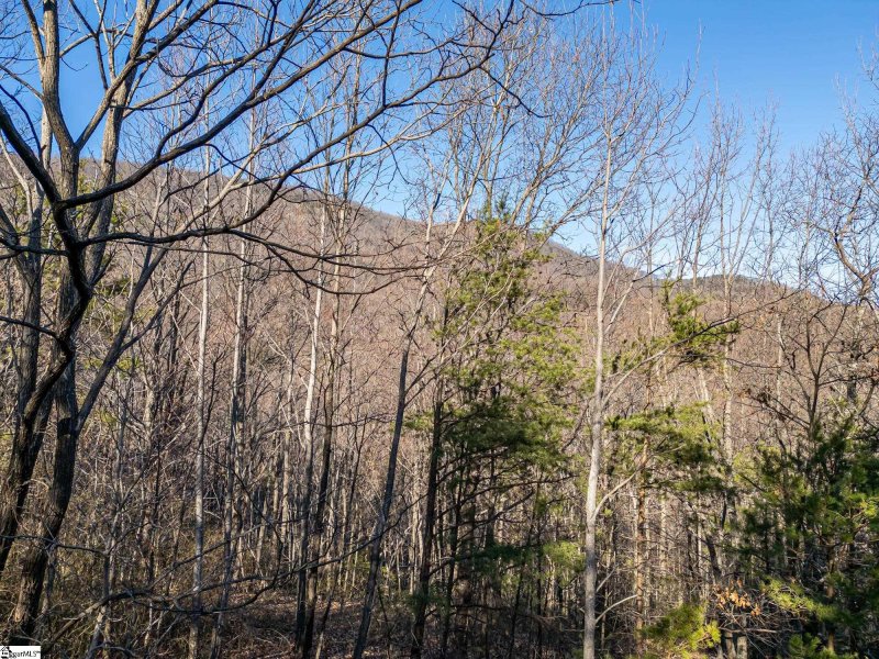 Property image 5 of 327 Foggy Cut Lane in The Cliffs at Glassy, Landrum, SC 29356