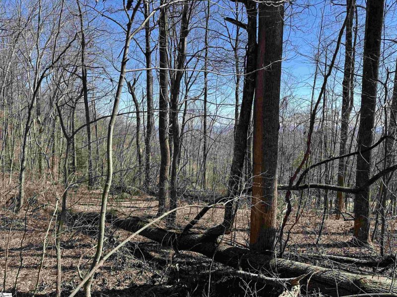 Property image 2 of High Country Way in The Cliffs at Glassy, Landrum, SC 29356-3329