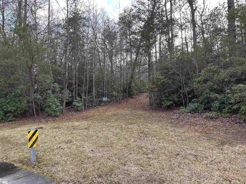 Property image 2 of 105 Valley Lake Trail in Cliffs Valley, Travelers Rest, SC 29690