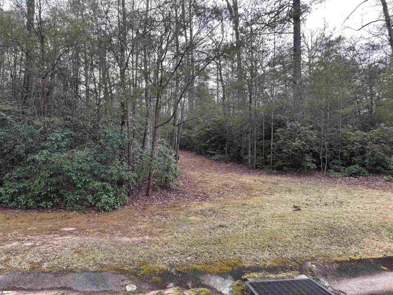 Property image 3 of 105 Valley Lake Trail in Cliffs Valley, Travelers Rest, SC 29690