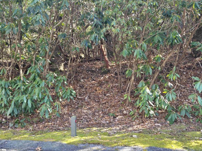 620 Cliff Ridge Drive