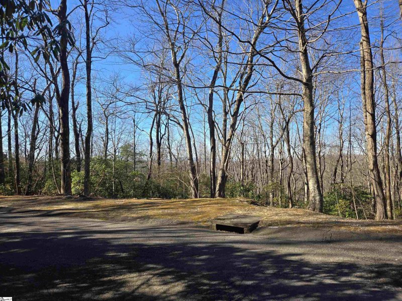 Property image 3 of 620 Cliff Ridge Drive in Cliff Ridge at Caesars Head, Cleveland, SC 29635