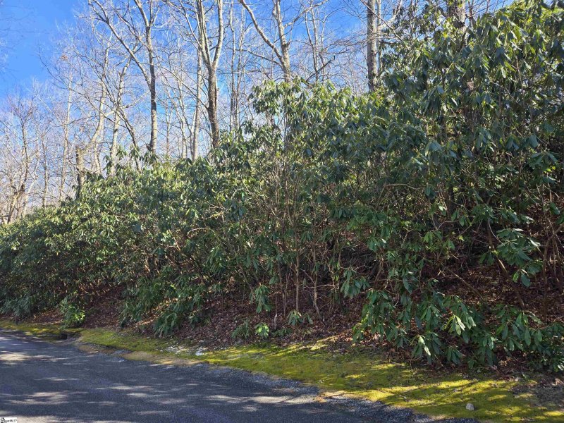 Property image 4 of 620 Cliff Ridge Drive in Cliff Ridge at Caesars Head, Cleveland, SC 29635