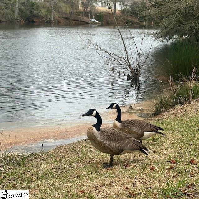 Property image 4 at 8 Waterthrush Way, Simpsonville, SC 29680