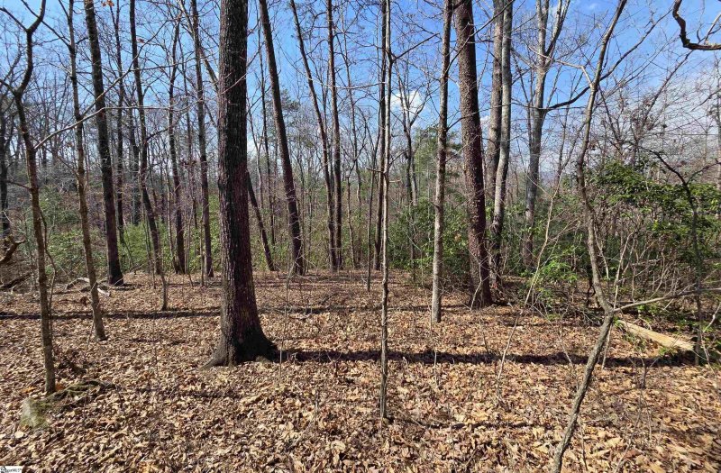 Property image 3 of 00 Alsace Way in Crescent Mountain Vineyard, Travelers Rest, SC 29690