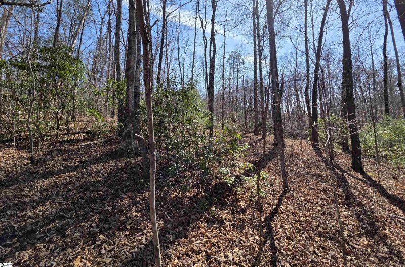 Property image 5 of 00 Alsace Way in Crescent Mountain Vineyard, Travelers Rest, SC 29690