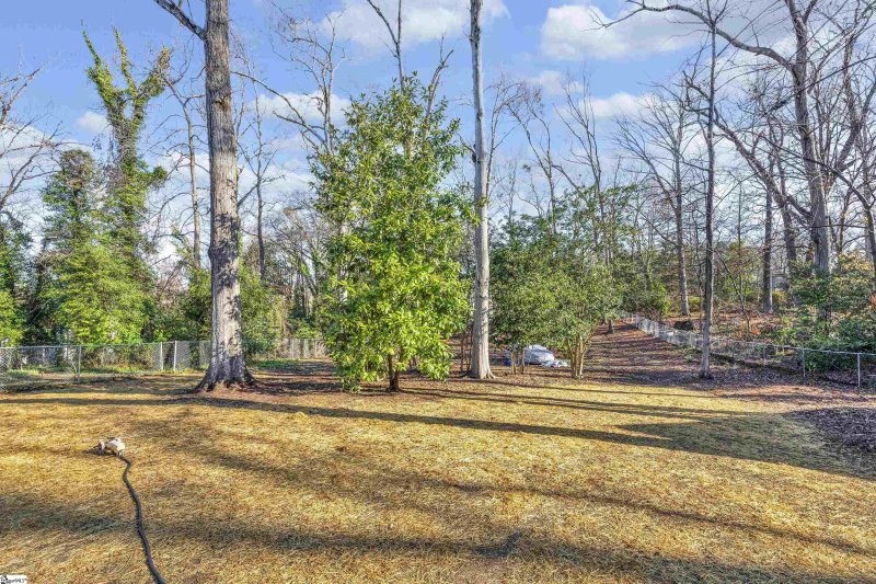 Property image 4 at 161 Ivy Street, Spartanburg, SC 29302