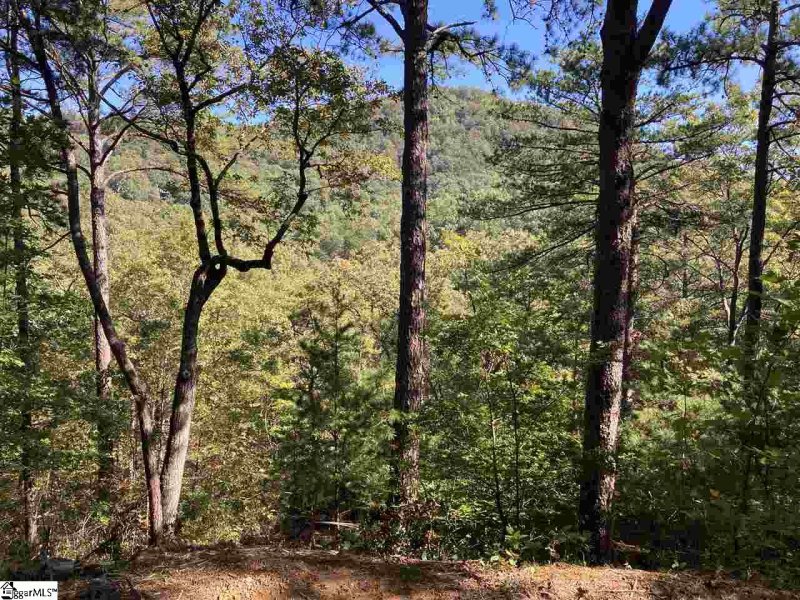 Property image 2 of 19 Foggy Ridge Way in Cliffs Valley, Travelers Rest, SC 29690