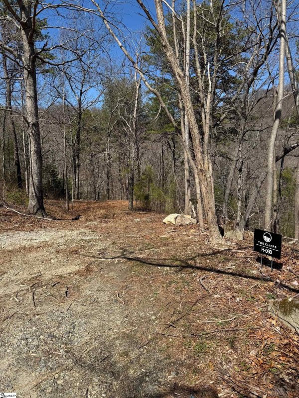 Property image 3 of 19 Foggy Ridge Way in Cliffs Valley, Travelers Rest, SC 29690