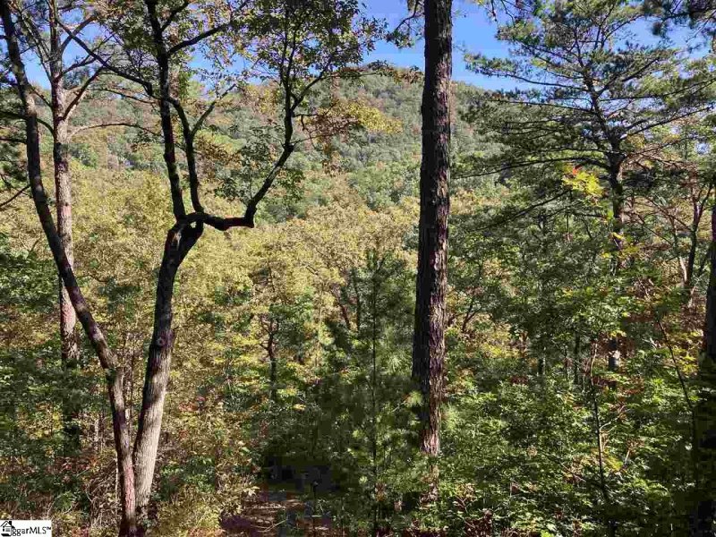Property image 4 of 19 Foggy Ridge Way in Cliffs Valley, Travelers Rest, SC 29690