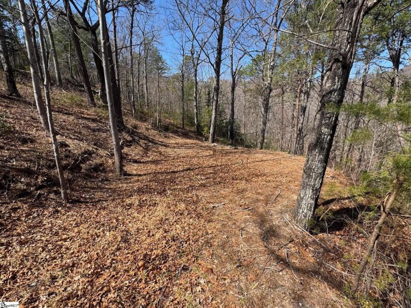 Property image 5 of 19 Foggy Ridge Way in Cliffs Valley, Travelers Rest, SC 29690