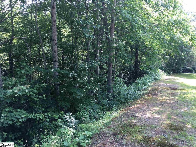 120 Ridgerunner Way