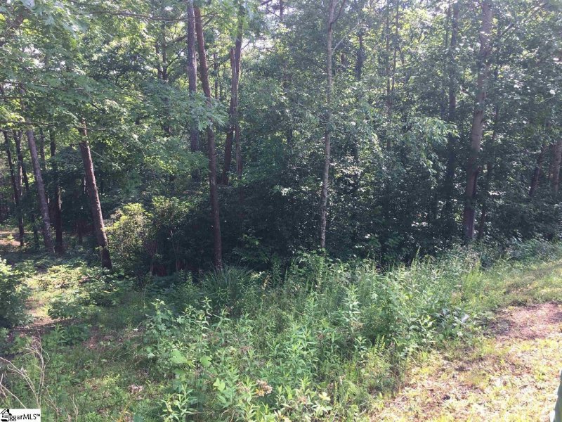 Property image 2 of 120 Ridgerunner Way in Cliffs Valley, Travelers Rest, SC 29690