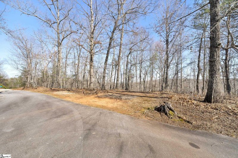 Property image 5 at 00 Emerald Crest Lane, Cleveland, SC 29635