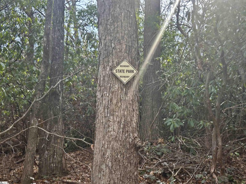 68 Conifer Falls Road