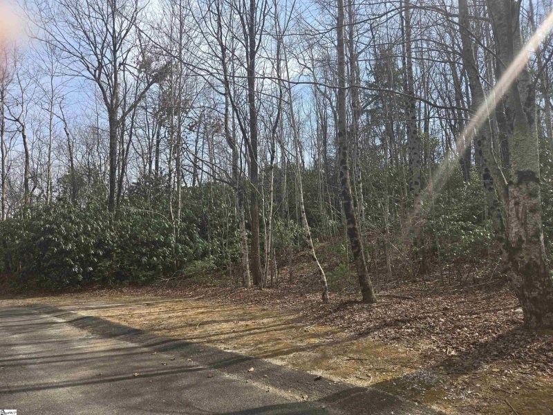 Property image 2 at 68 Conifer Falls Road, Cleveland, SC 29635