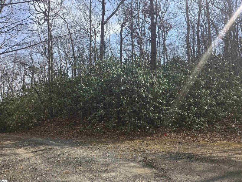 Property image 3 at 68 Conifer Falls Road, Cleveland, SC 29635