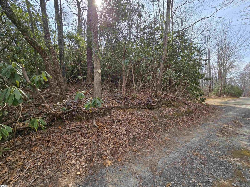 Property image 4 at 68 Conifer Falls Road, Cleveland, SC 29635