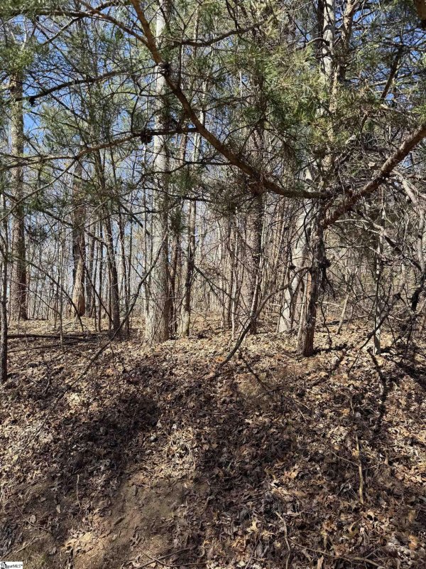 Property image 3 of Links Ledge in Cliffs Valley, Travelers Rest, SC 29690